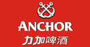 力加啤酒